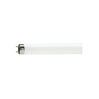 Tub fluorescent TL-D 58W Snow White 12000K - 928049045015 - 8711500893543 - 871150089354340