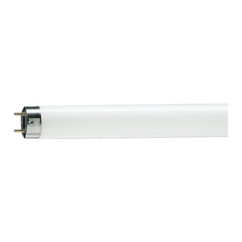 Tub fluorescent Philips Master TL-D 90 De Luxe 36W/965 - 928044596581 - 8711500888624 - 871150088862425