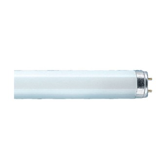 Tub fluorescent Ledvance L 36W/77 Fluora LDV - 4050300003184 Tub fluorescent Ledvance L 36W/77 Fluora LDV - 4050300003184