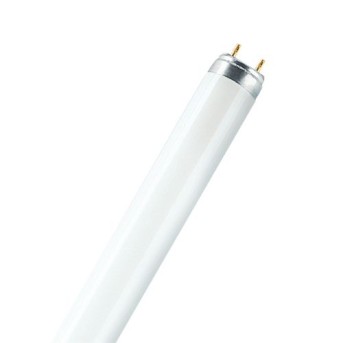 Tub fluorescent L 36W/830 dulie G13 - 4050300517896