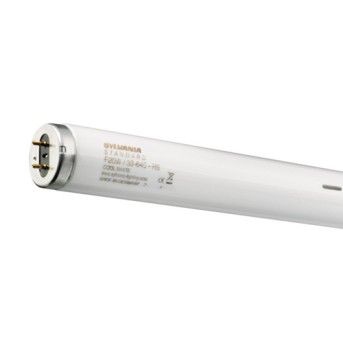 Tub fluorescent T5 FHO 54W/840 Luxline Plus E SYL - 0002865 - 5410288028651