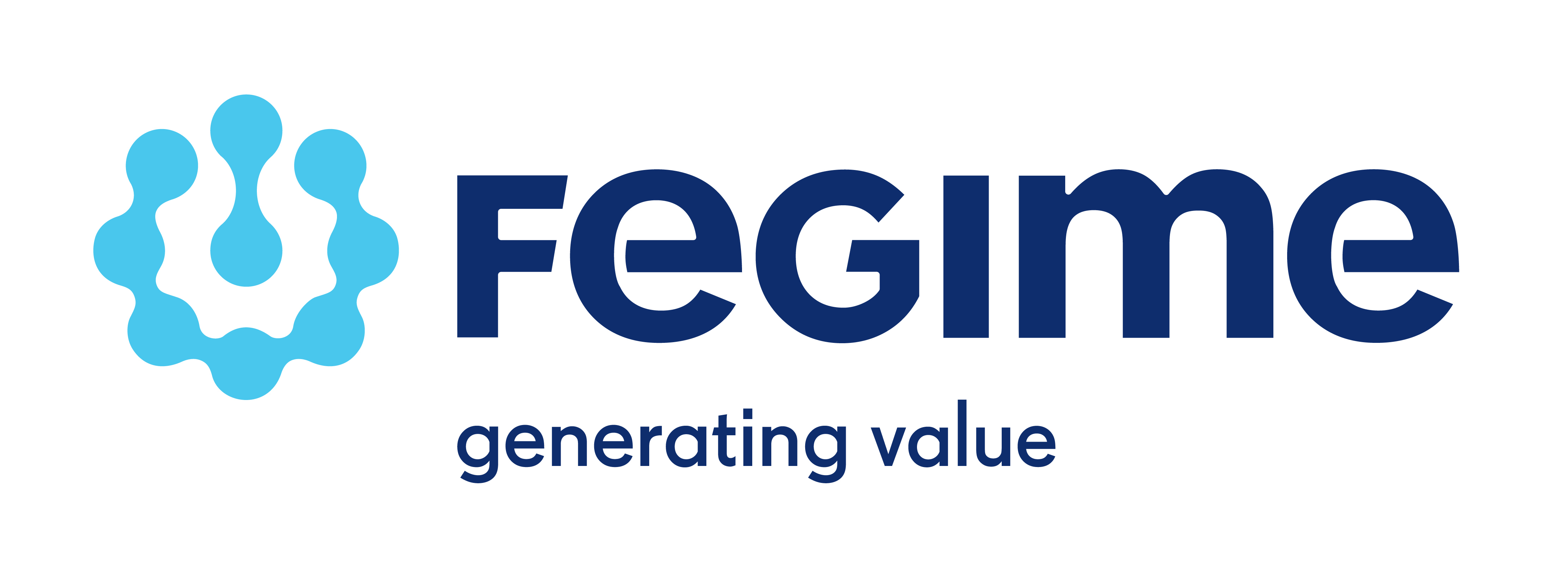 FEGIME - generating value